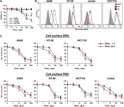 Death Receptors DR4 and DR5 Undergo Spontaneous and Ligand-Mediated Endocytosis and Recycling Regardless of the Sensitivity of Cancer Cells to TRAIL